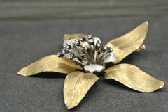 Jewelry Orchid Brooch Diamonds 18k Two Color Gold